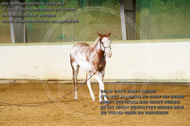 s_K3F06172.JPG